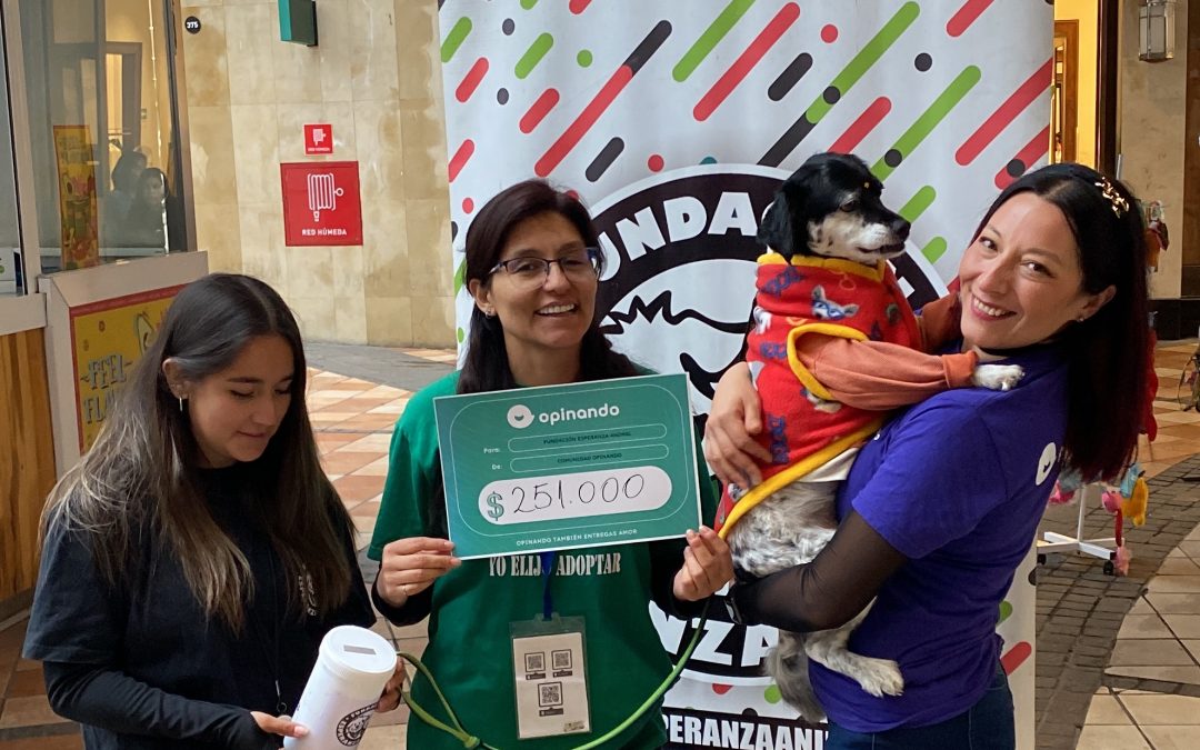 Primera donación a: «Fundación Esperanza Animal»